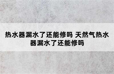 热水器漏水了还能修吗 天然气热水器漏水了还能修吗